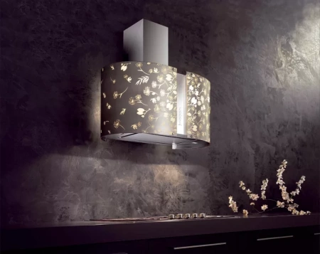 картинка Вытяжка Falmec Mirabilia 67 Moon Light Vetro (800) ECP от магазина SEFI