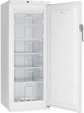 картинка Морозильная камера Vestfrost VF321WGNF от магазина SEFI