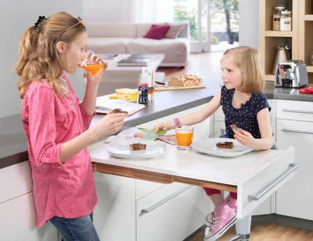 картинка Выдвижной стол Rapid в шкаф шириной 600 мм, цвет – серый-металлик магазин SEFI являющийся официальным дистрибьютором в России  картинка Выдвижной стол Rapid в шкаф шириной 600 мм, цвет – серый-металлик от магазина SEFI