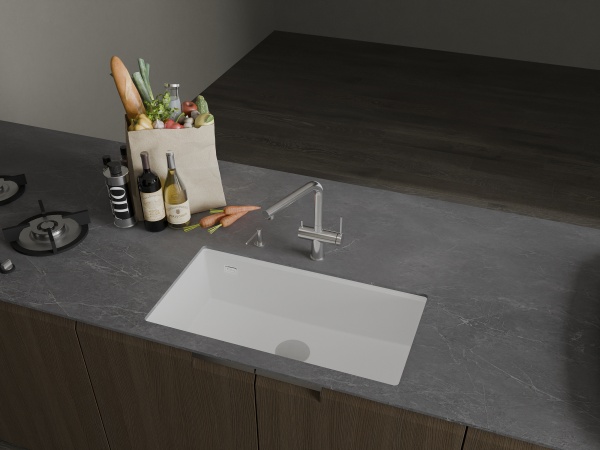 картинка Мойка Rivelato STRIA 8679 1-чаш 860*460 Белый 101 от магазина SEFI
