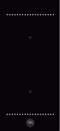 картинка Индукционная варочная панель Bertazzoni P604IC2B2NEE от магазина SEFI