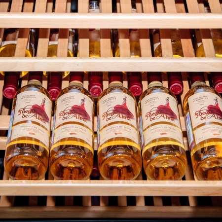 картинка Винный шкаф IP Industrie JG 168-6 A X от магазина SEFI