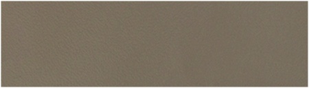 картинка Кромка ABS латте (N269B) 22/0,8мм POLKEMIC (бух.-0,15пог.км.) от магазина SEFI