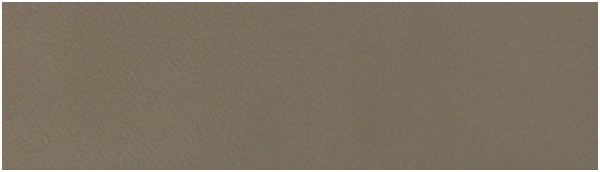 картинка Кромка ABS латте (N269B) 22/0,8мм POLKEMIC (бух.-0,15пог.км.) от магазина SEFI