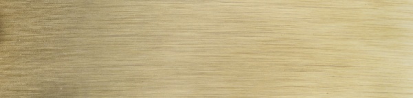 картинка Кромка ПВХ золото брашированное (19508) 22/1мм TECE (бух.-0,1пог.км.) от магазина SEFI