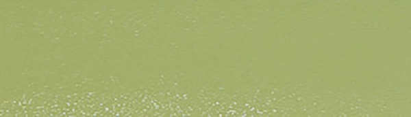 картинка Кромка ПВХ зеленый светлый (7221) 22/2,0мм EL-MECH-PLAST (бух.-0,1пог.км.) от магазина SEFI