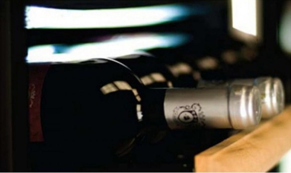 картинка Винный шкаф IP NCK 501 CF от магазина SEFI