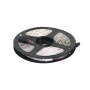 картинка Лента светодиодная RGB влагостойкая - 10W/m, 12V, 10мм, 5050, 60 д/м, IP65, цветная - 5м, AKS от магазина SEFI